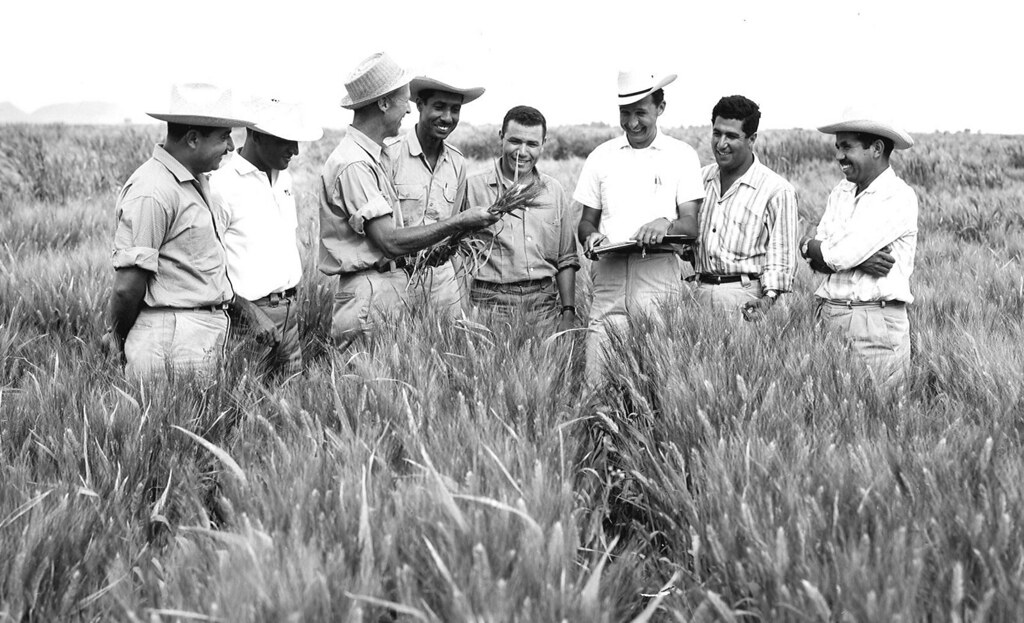 Dr. Norman Borlaug with his colleagues smiling and chatting